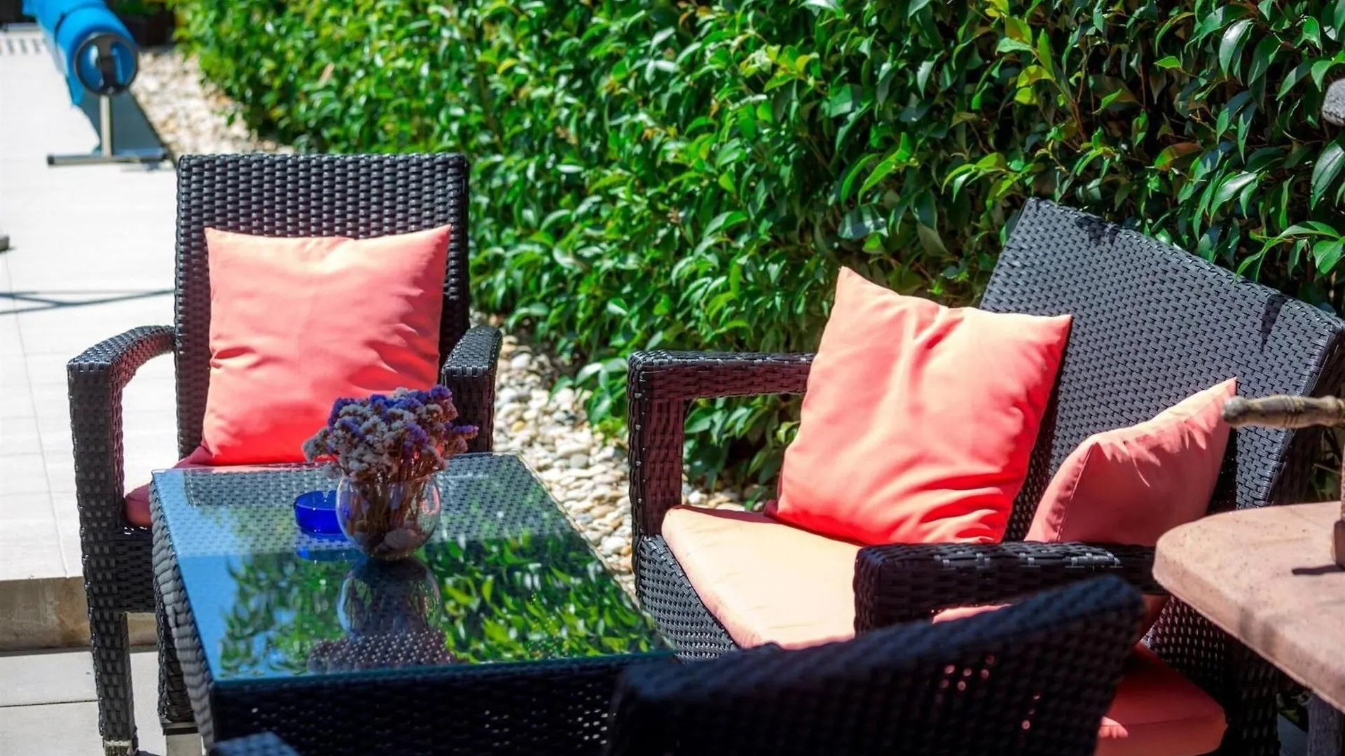 My Dalmatia - Apartment Vigo With Private Pool Zadar