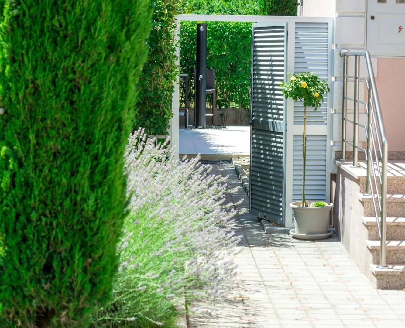 My Dalmatia - Apartment Vigo With Private Pool Zadar