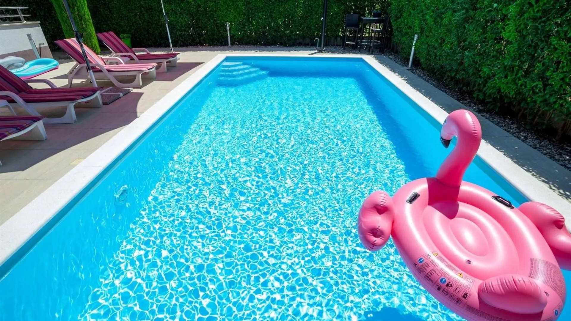 My Dalmatia - Apartment Vigo With Private Pool Zadar 0*,
